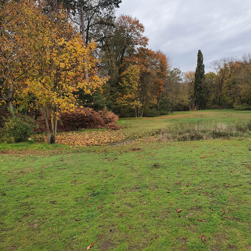 Parc du Gros Buisson 2